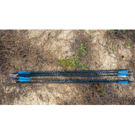 Tên bắn cung carbon pha giá rẻ