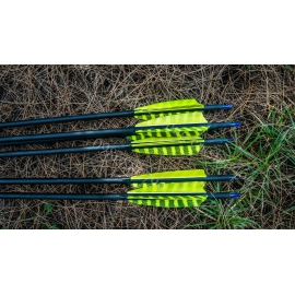 Mũi tên bắn cung bằng carbon pha - đuôi lông vũ